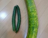 夏バテに！いたちキュウリのすまし汁作り方1写真