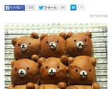 くまちゃん＊ちぎりパン作り方13写真