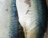簡単!シメサバ♪元魚屋の味作り方8写真