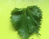 超美味しいかっぱ巻き作り方6写真
