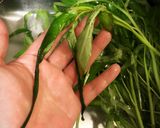 空芯菜の炒め物作り方3写真