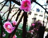 漬け込み無しフライパン簡単時短唐揚げ♥️作り方6写真