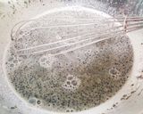ぷるぷる♪簡単濃厚黒ごまプリン作り方3写真