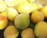 梅シロップ（編集中）作り方1写真