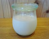 TGG豆乳ヨーグルトでクリームチーズ風作り方10写真