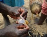 マクワ流チキン煮込みカレー風味作り方9写真