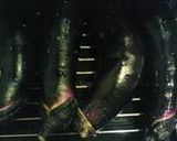かつおたっぷり焼き茄子作り方1写真