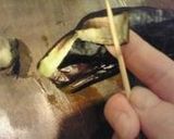 かつおたっぷり焼き茄子作り方2写真