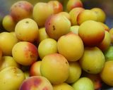 うめDEらっきょう酢漬け作り方1写真