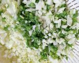 羽付きでね！パリパリ餃子。作り方1写真
