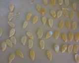 ひまわり夏弁当作り方1写真