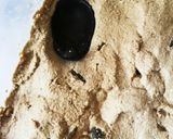 ぬか床のお手入れ方とサラダ漬け物作り方6写真