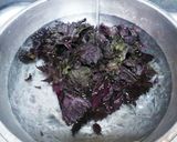 赤紫蘇の塩揉み~梅干しや紅しょうが漬けに作り方3写真