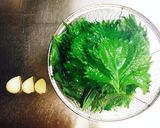 合法ハーブ『SHISO』〜しその醤油漬〜作り方2写真