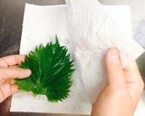 合法ハーブ『SHISO』〜しその醤油漬〜作り方3写真