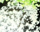 簡単！10分みんな大好きなエビチリ♪作り方8写真