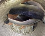 ✿秋刀魚フライ❀トマトチーズソースがけ✿作り方1写真