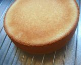本気でスポンジケーキ作り方15写真