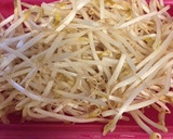 ルクエでさっぱりもやしとわかめのナムル〜作り方1写真