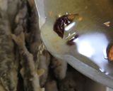稚鮎大葉漬作り方15写真