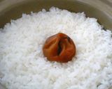 梅シロップの梅の再利用作り方7写真