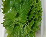 大葉の保存法＊あにちゃら流作り方9写真