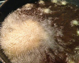 冷凍枝豆の、豆そのまんまからあげ。作り方3写真