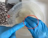 ウチの炊飯方法🍚お米は研がない❗️ふっくらツヤツヤ作り方1写真