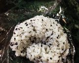 キャラ弁 トトロ 梅雨バージョン作り方1写真
