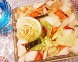 お酒にあう漬物(*’▽’)作り方1写真