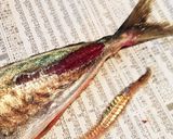 簡単三枚下ろし！あじの磯辺揚げ作り方3写真