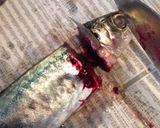 簡単三枚下ろし！あじの磯辺揚げ作り方4写真