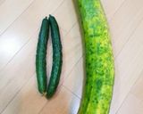 いたちきゅうりと鶏肉の煮物♪冬瓜でも！作り方1写真
