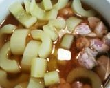 いたちきゅうりと鶏肉の煮物♪冬瓜でも！作り方4写真
