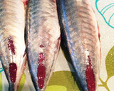 簡単三枚下ろし！あじの磯辺揚げ作り方6写真