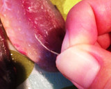 簡単三枚下ろし！あじの磯辺揚げ作り方14写真