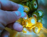 体から糖分を追い出せ！ゴーヤのビール炒め作り方7写真