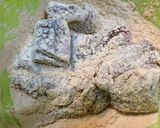 釣り魚《宗田鰹の唐揚げ塩レモンペースト》作り方2写真