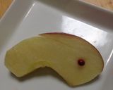 となりの関くん にあったりんごうさぎ作り方4写真