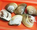 簡単！オカンの蛤の酒蒸し！作り方1写真