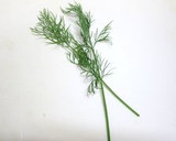 ほおずきの器でサーモンとチーズの前菜作り方1写真