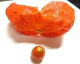 ほおずきの器でサーモンとチーズの前菜作り方4写真