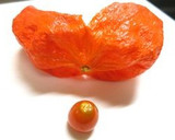 ほおずきの器でサーモンとチーズの前菜作り方4写真
