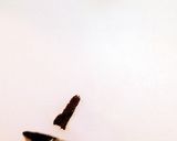 女子のミカタ☆毎日快腸プルーンワイン漬作り方3写真