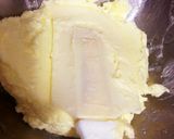 自家製発酵バター作り方5写真