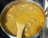 スパイスからの本格簡単チキンカレー作り方9写真