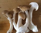 坦々風野菜スープ作り方2写真