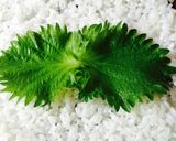 うちの巻き寿司作り方2写真
