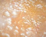 夏向け♪＊ココナッツキーマカレー＊作り方12写真