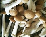 ＊ベーコンとぶなしめじの和風パスタ＊作り方2写真